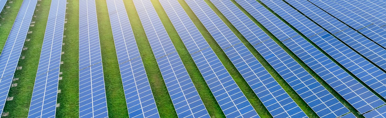 Green policies to reduce carbon footprint